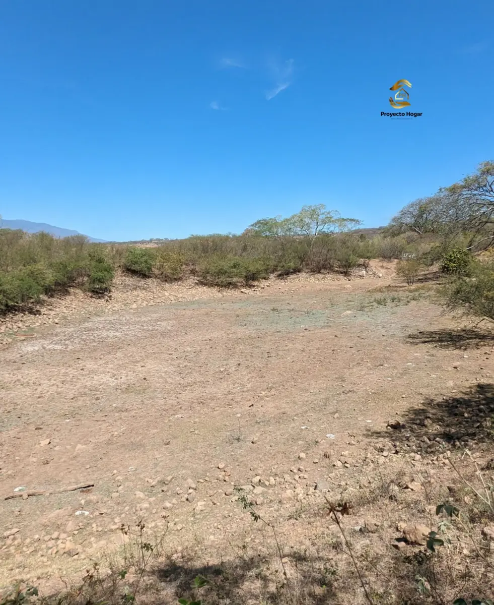 Vista 4 de PACELA EN VENTA EN COMALA, COLIMA