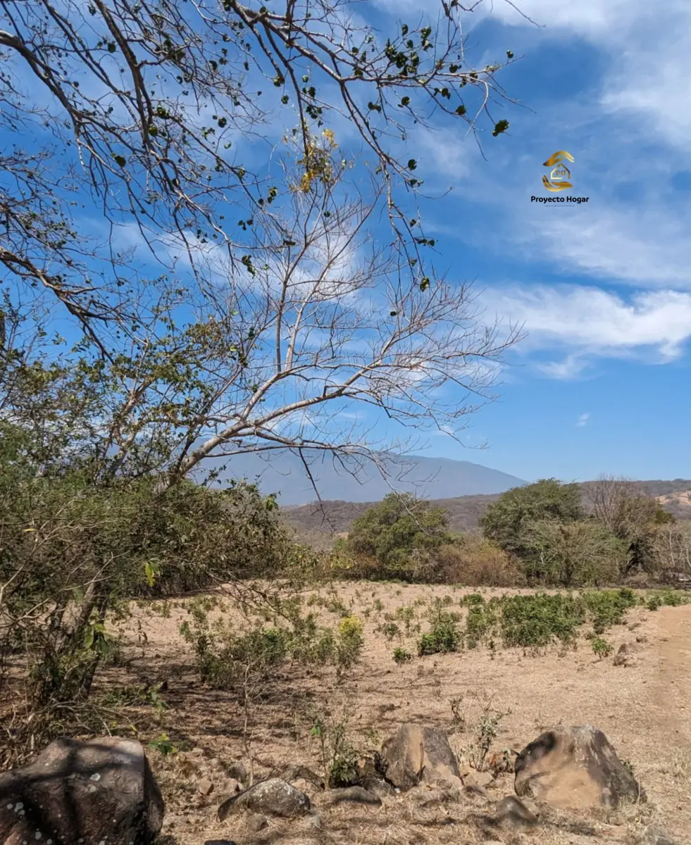 Finca-Rancho en venta en Comala, Comala — foto 1 de 12