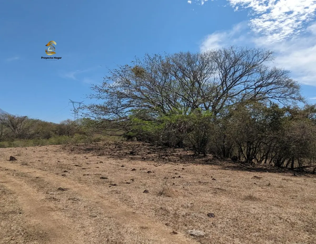 Vista 5 de PACELA EN VENTA EN COMALA, COLIMA