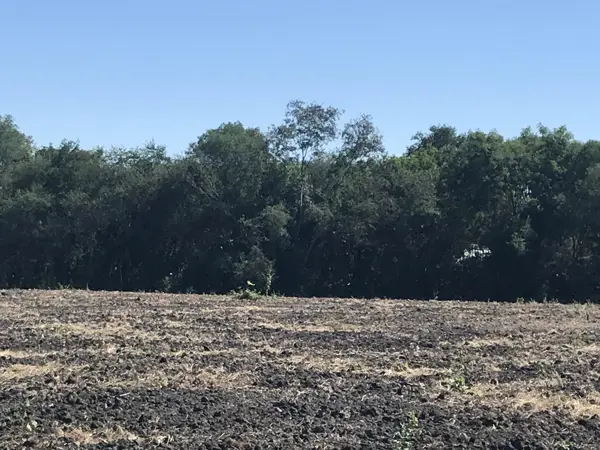 Terreno en venta en El Porvenir, Allende — foto 3 de 6