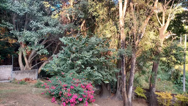 Casa en venta en Miraval, Cuernavaca — foto 3 de 22