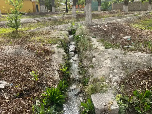 Terreno en venta en De La Loma, Parras — foto 3 de 5