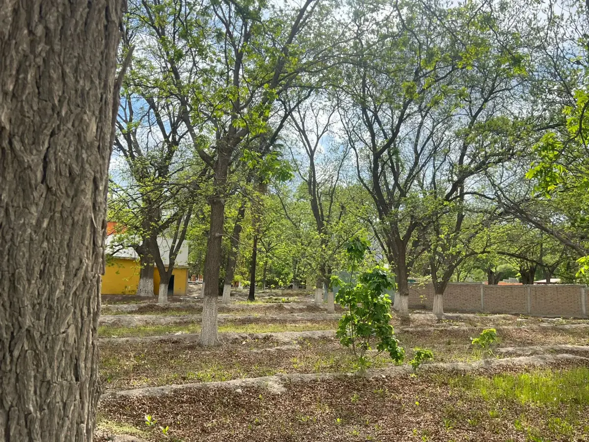 TERRENO EN VENTA, PARRAS DE LA FUENTE COAHUILA TERRENO EN VENTA, PARRAS DE LA FUENTE COAHUILA
