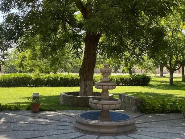 Terreno en venta en Viñedos del Márquez, Parras — foto 3 de 8