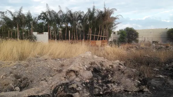 Terreno en venta en Ciudad Industrial, Celaya — foto 3 de 6