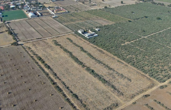 Terreno en Venta en San Felipe Teotitlan, Nopaltepec, México 2