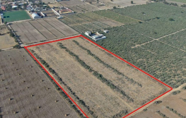 Terreno en Venta en San Felipe Teotitlan, Nopaltepec, México 1