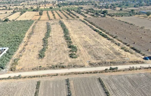 Terreno en Venta en San Felipe Teotitlan, Nopaltepec, México 3
