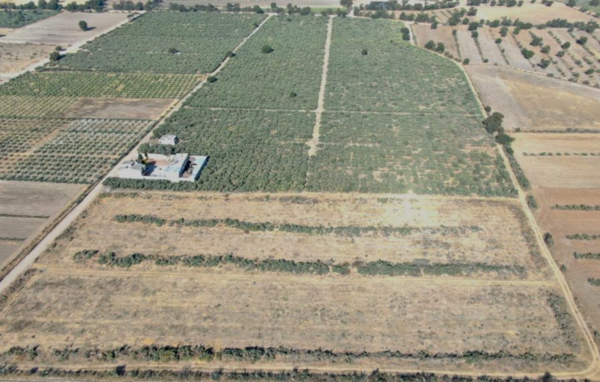 Terreno en Venta en San Felipe Teotitlan, Nopaltepec, México 5