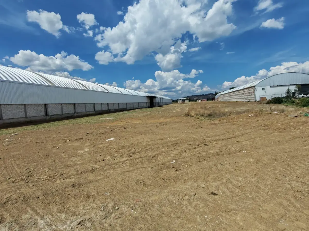 Terreno en renta en Santa Maria Acuexcomac, San Pedro Cholula — foto 1 de 7