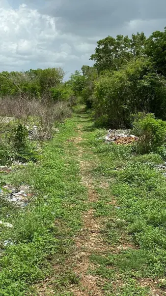 Terreno en venta en Oxcum, Umán — foto 3 de 11