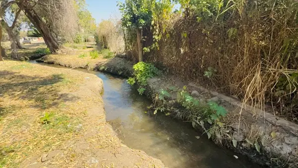 Terreno en venta en Felipe Neri, Yautepec — foto 3 de 6