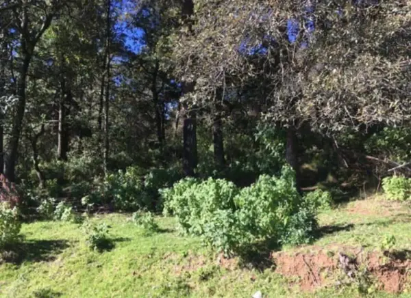 Terreno en venta en Tlazala de Fabela, Isidro Fabela — foto 2 de 9