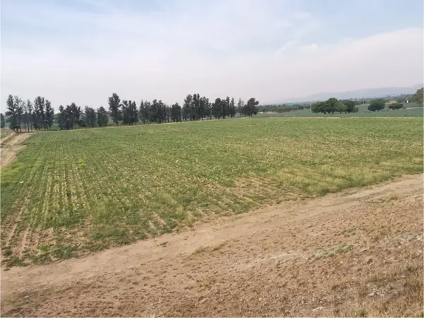 Terreno en venta en Barrio Industrial, Pabellón de Arteaga — foto 3 de 4