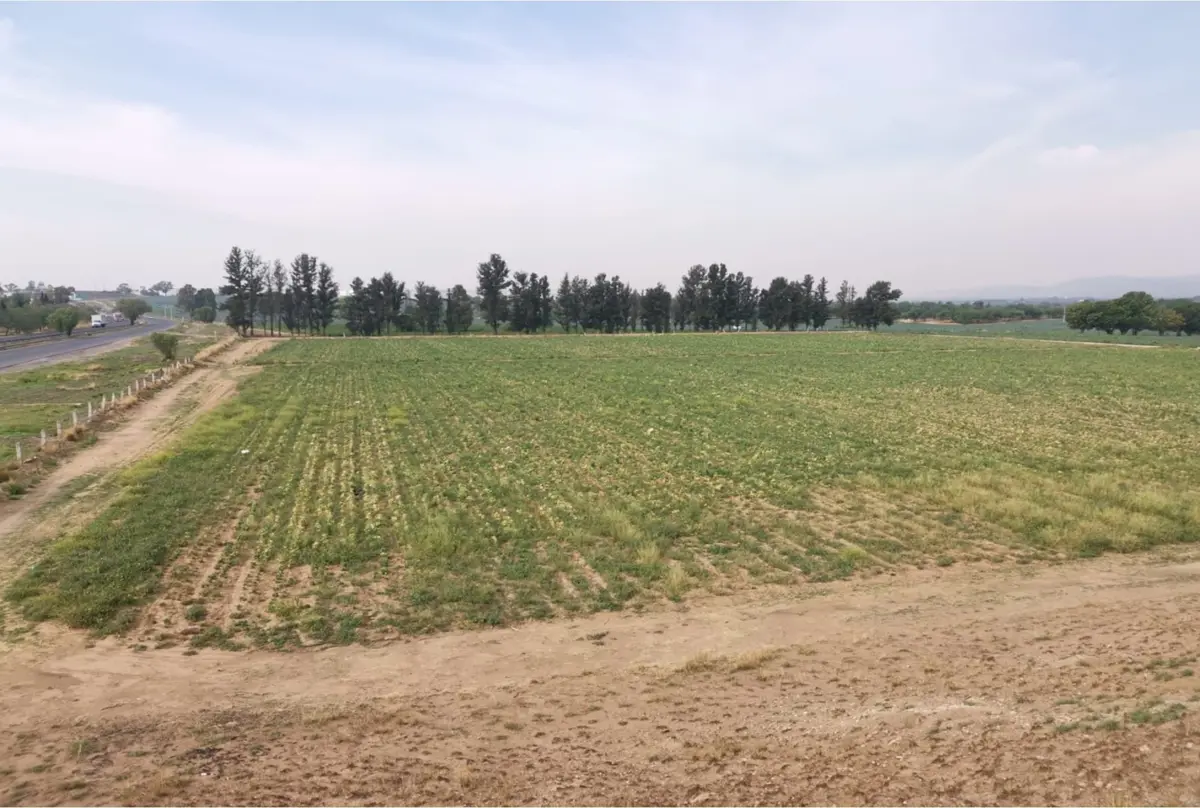 Terreno en venta en Barrio Industrial, Pabellón de Arteaga — foto 1 de 4