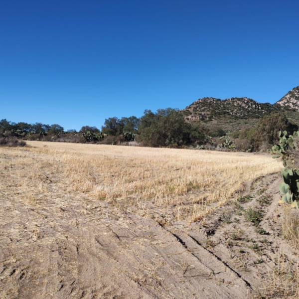 Terreno en venta en San Juan Tizahuapan, Epazoyucan — foto 3 de 13