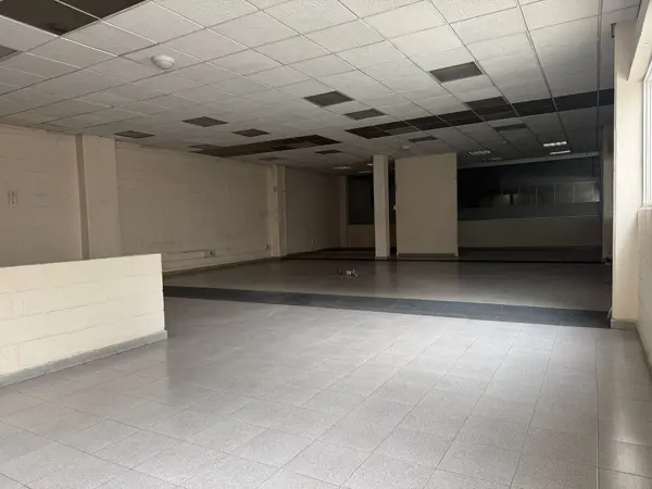 Bodega en renta en Anáhuac I Sección, Miguel Hidalgo — foto 3 de 24