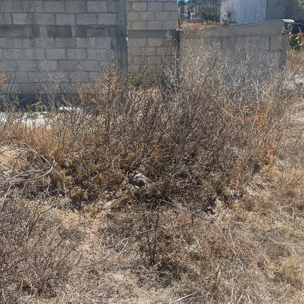 Terreno en venta en La Palma, Pachuca de Soto — foto 2 de 6