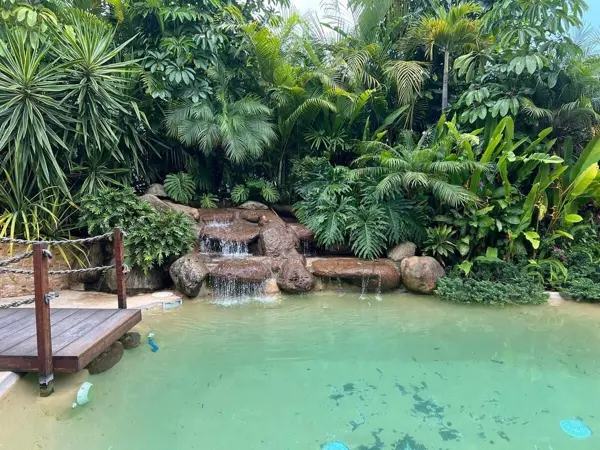 Casa en renta en Rancho Cortes, Cuernavaca — foto 2 de 49