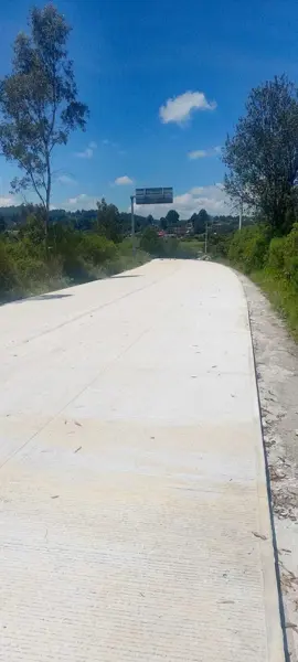 Terreno en venta en San Pedro del Rincón, Villa Victoria — foto 2 de 10