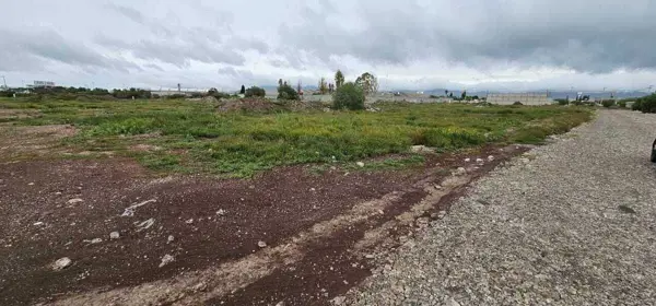 Tereno  sobre la carretera Actopan -Pachuca