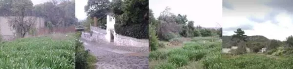 Terreno en venta en San Antonio, Texcoco — foto 3 de 4