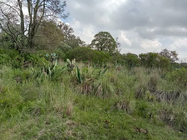 Terreno en venta en Aldama, Jilotepec — foto 2 de 14