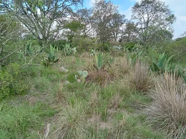 Terreno en venta en Aldama, Jilotepec — foto 3 de 14