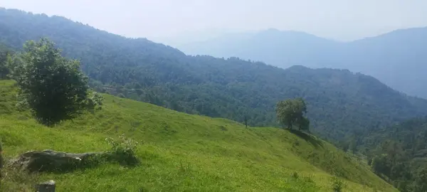 Terreno en venta en Tlahuiltepa, Tianguistengo — foto 2 de 19