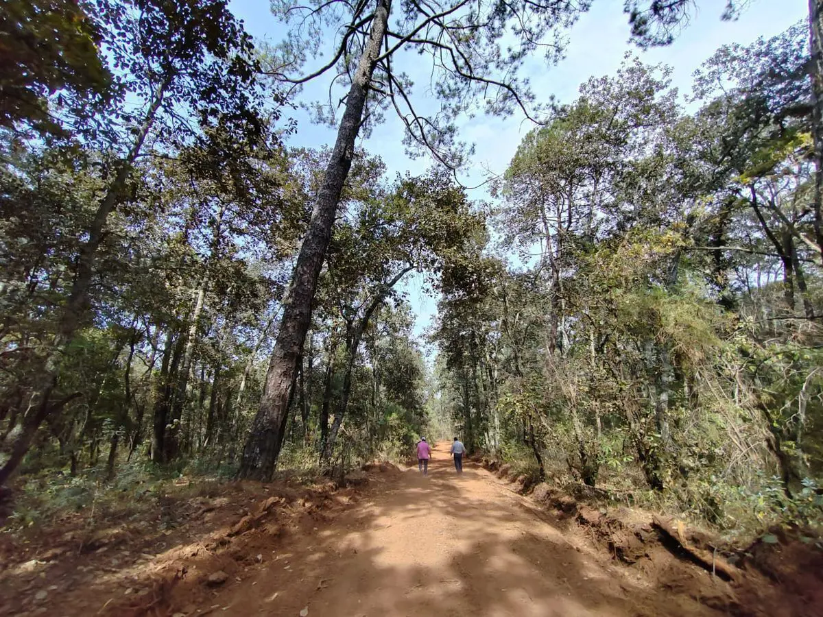 Terreno en venta en Bermúdez, Huasca de Ocampo — foto 1 de 19