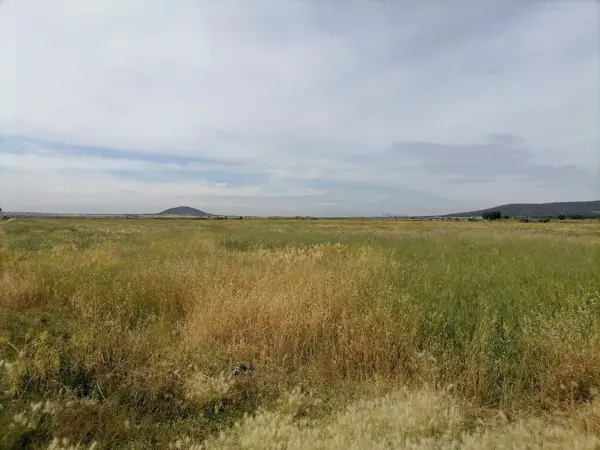 Terreno en venta en Tolcayuca Centro, Tolcayuca — foto 2 de 3