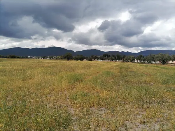 Terreno en venta en Tolcayuca Centro, Tolcayuca — foto 3 de 9