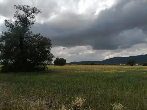 Terreno en venta de 40,000 m2, Tolcayuca, Hidalgo