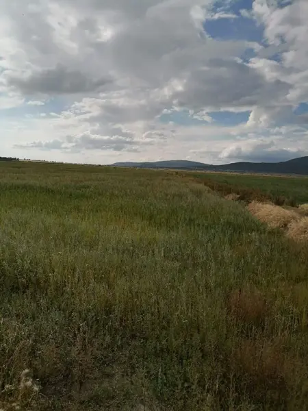 Terreno en venta de 37,334 m2, Tolcayuca, Hidalgo