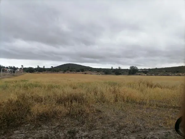 Terreno en venta en Tolcayuca Centro, Tolcayuca — foto 2 de 6