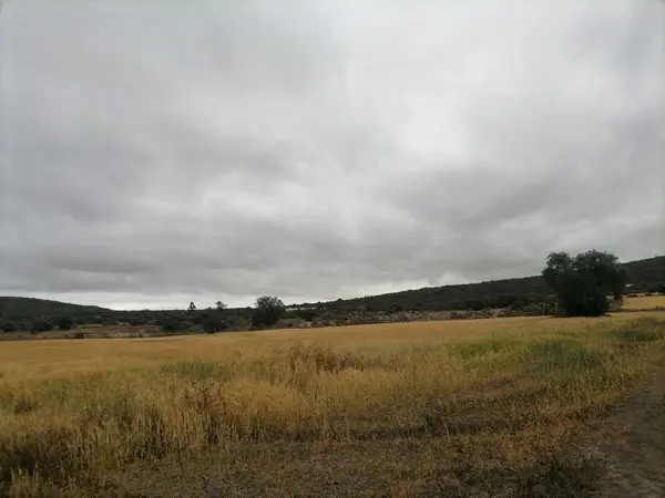 Terreno en venta en Tolcayuca Centro, Tolcayuca — foto 3 de 6