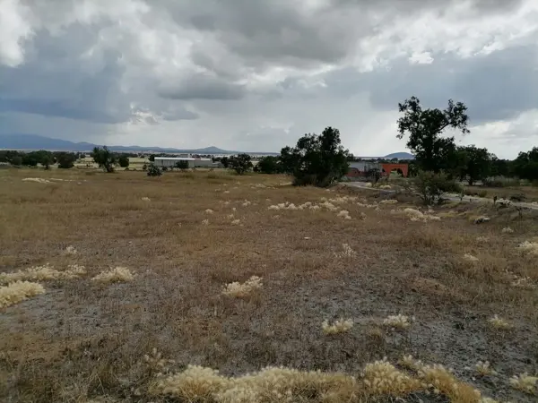 Terreno en venta de 5,000 m2, Tolcayuca, Hidalgo