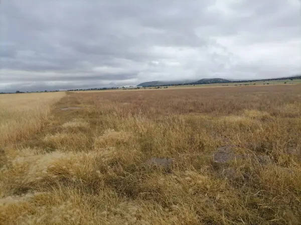 Terreno en venta en Tolcayuca Centro, Tolcayuca — foto 2 de 8