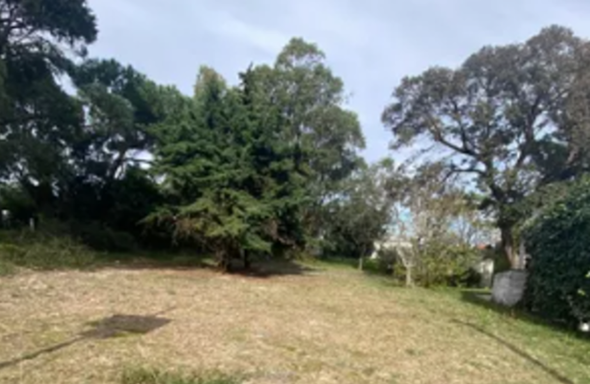 Terreno en venta en El Mayorazgo Residencial, León — foto 1 de 2