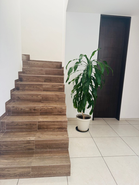 Casa en venta en Sierra Nogal, León — foto 2 de 24