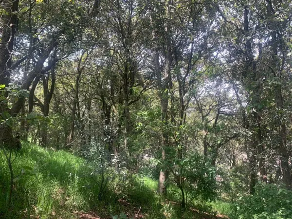 Terreno en venta en La Palmita, Álvaro Obregón — foto 2 de 6