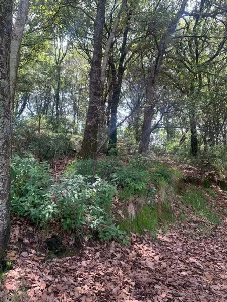 Terreno en venta en La Palmita, Álvaro Obregón — foto 3 de 6