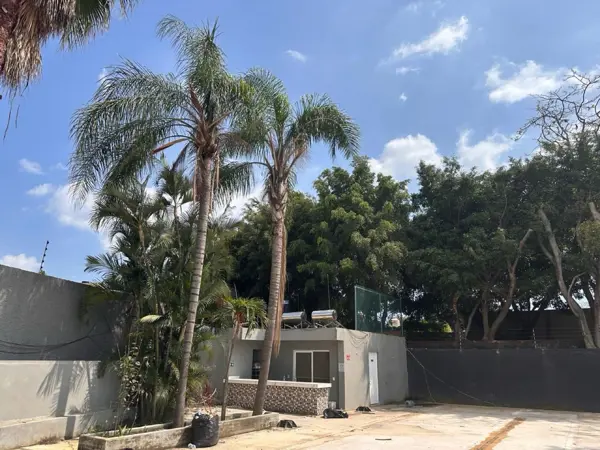 Terreno en renta en Poblado Acapatzingo, Cuernavaca — foto 3 de 4