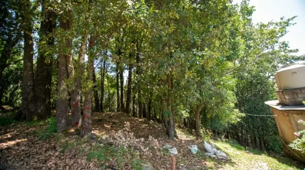 Terreno en venta en Santa Ana Jilotzingo, Jilotzingo — foto 2 de 14