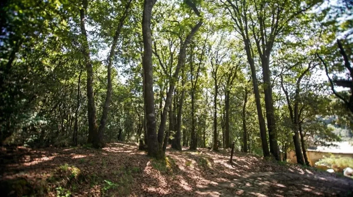 Terreno en venta en Santa Ana Jilotzingo, Jilotzingo — foto 1 de 14
