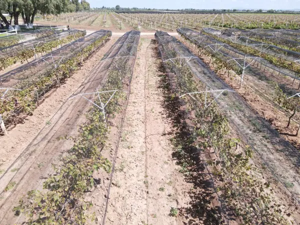 Terreno en venta en Arboledas, Luis Moya — foto 2 de 19