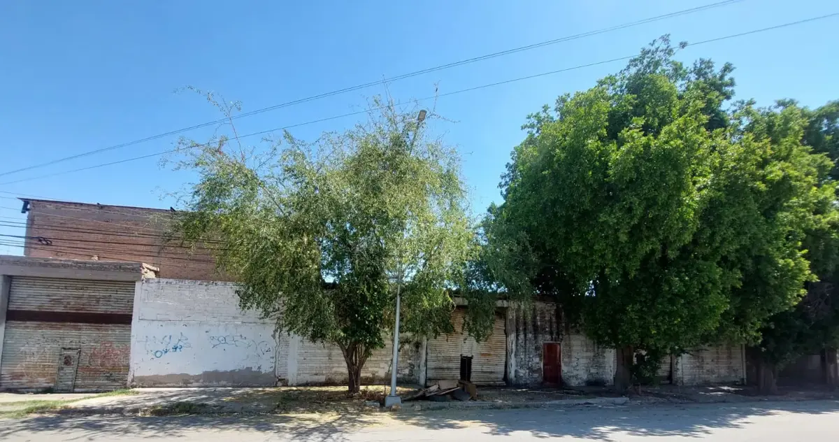Bodega en venta en Eduardo Guerra, Torreón — foto 1 de 8