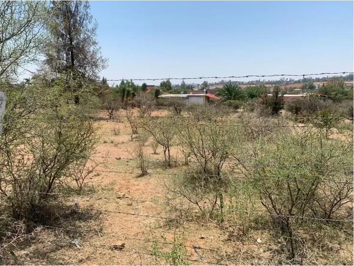 Terreno en venta en La Tomatina, Jesús María — foto 1 de 15