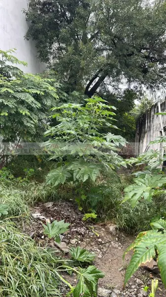 Terreno en renta en Granja Postal, Monterrey — foto 3 de 8