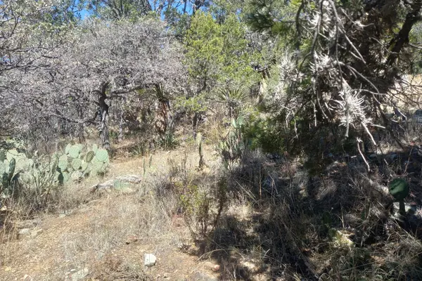 Terreno en venta en El Tunal, Arteaga — foto 2 de 7